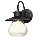 Westinghouse 6313500 Delmont One-Light Outdoor Wall Fixture, Oil Rubbed Bronze Finish with Highlights with Clear Seeded Glass