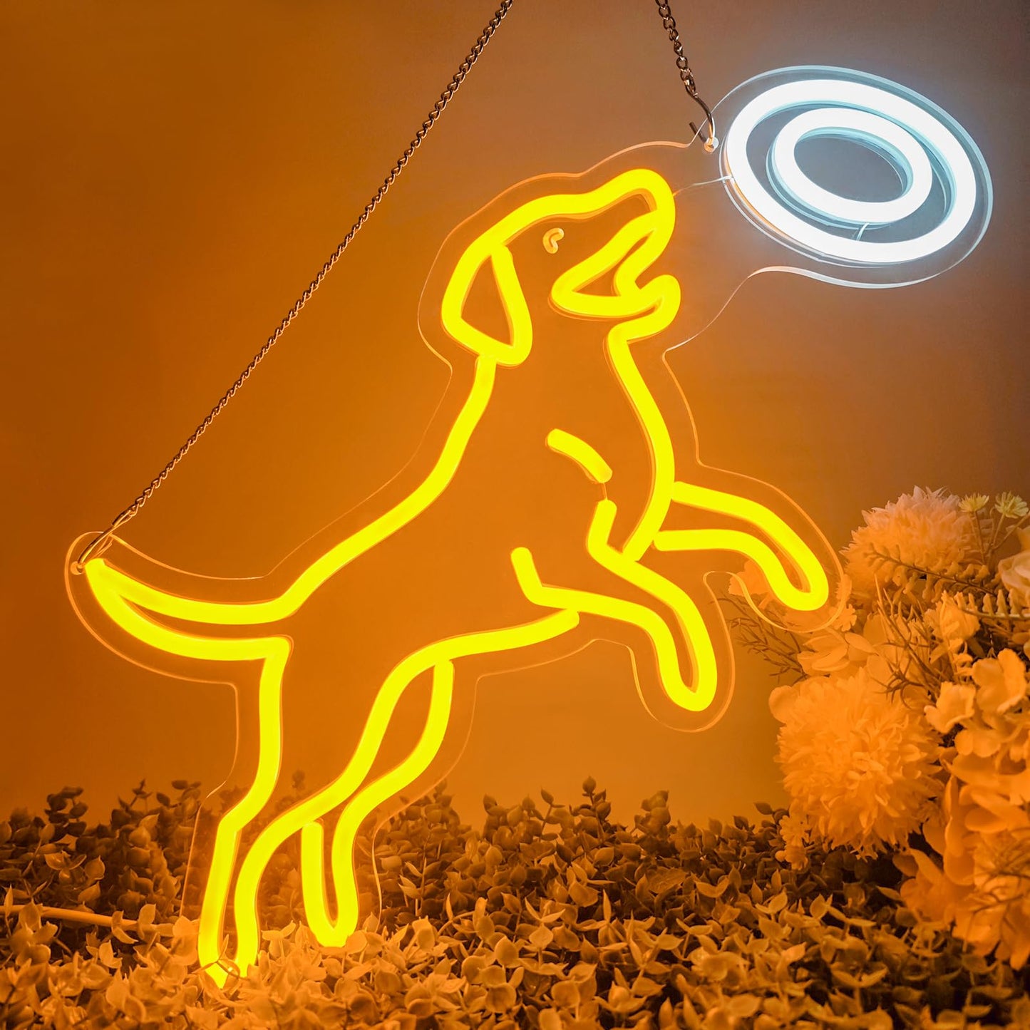 CrazyGazelle Dog Frisbee Neon Sign for Wall Decor, Golden Retriever LED Neon Sign Light for Living Room, Ideal Funny Gift for Dog Moms lovers, Pet