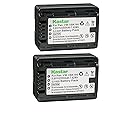 Kastar 2-Pack Battery VW-VBK180 Replacement for Panasonic SDR-S50K, SDR-S50N, SDR-S50P, SDR-S50PC Camera, Panasonic VW-VBK180, VW-VBK360, VW-VBL180
