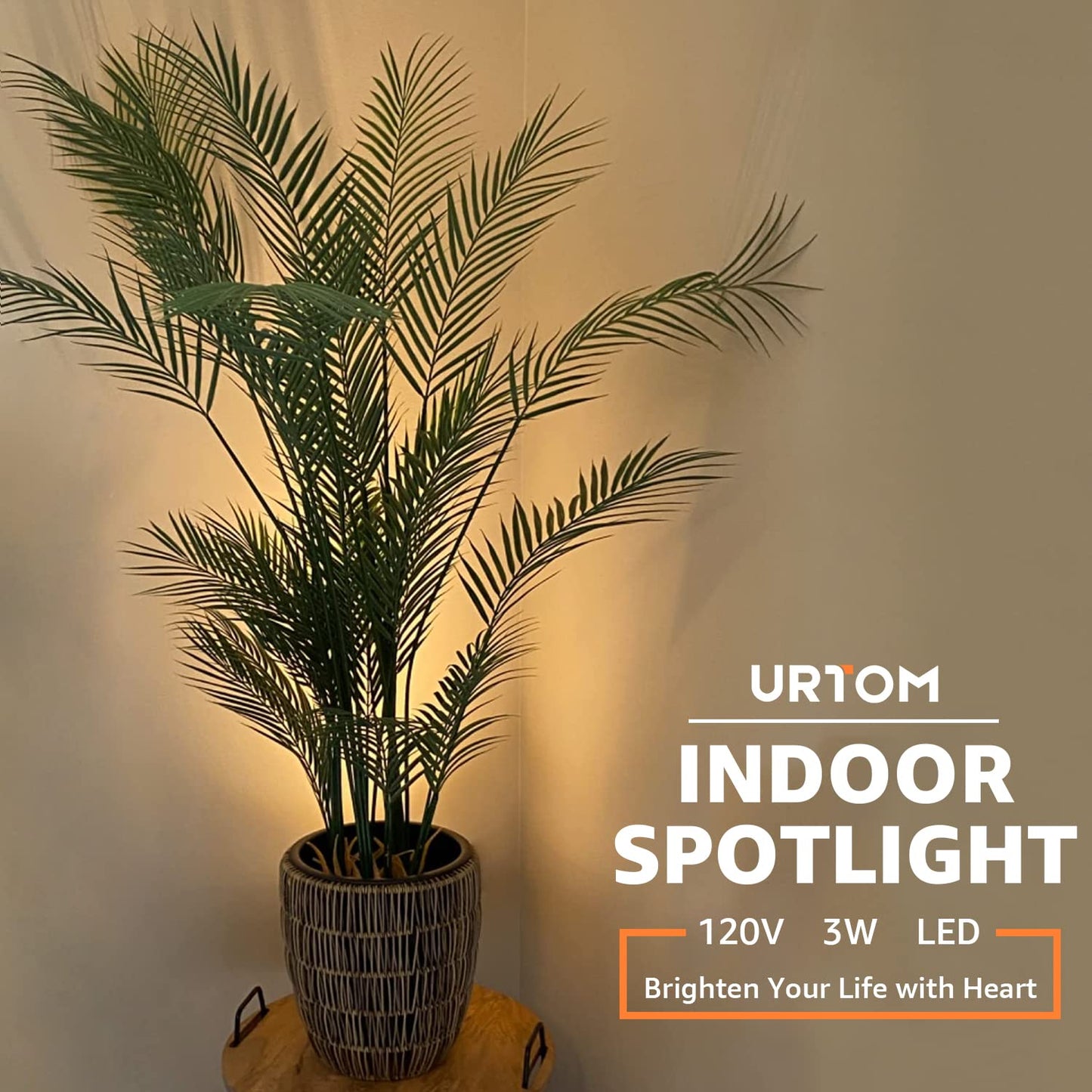 URTOM 2 Pack Indoor Spot Lights, 120V LED Accent Up Lights, 3W Plant Spotlights, 3000K Floor Spotlights for Plants, Pictures, Desk - Uplights with 5.9