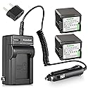 Kastar Battery 2-Pack + Charger Kit for VW-VBG260 AG-AC7 AG-AF100 AG-HMC40 AG-HMC80 AG-HMC150 HDC-HS250 HDC-HS300 HDC-HS700 HDC-SD600 HDC-SD700
