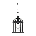 Nuvo Lighting 60/4979 Traditional One Light Hanging Lantern from Boxwood collection in Black finish