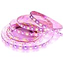 LEDENET RGBW LED Strip Lights RGB+Warm White(2800K-3200K) 360LEDs SMD 5050 DC 24V Multi-Colored LED Tape Lights Flexible LED Rope Lighting 16.4Ft