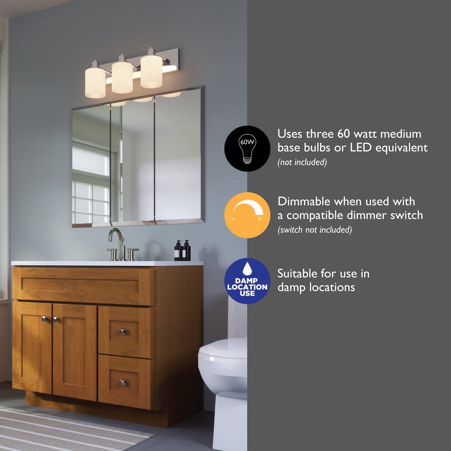 Design House Dane 3-Light Vanity Light, Polished Chrome Finish, Frosted Glass Shades, Dimmable, Bathroom Wall Fixture - Design House, 587478