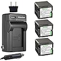 Kastar Battery 3-Pack + Charger Kit for VW-VBG260 AG-AC7 AG-AF100 AG-HMC40 AG-HMC80 AG-HMC150 HDC-HS250 HDC-HS300 HDC-HS700 HDC-SD600 HDC-SD700