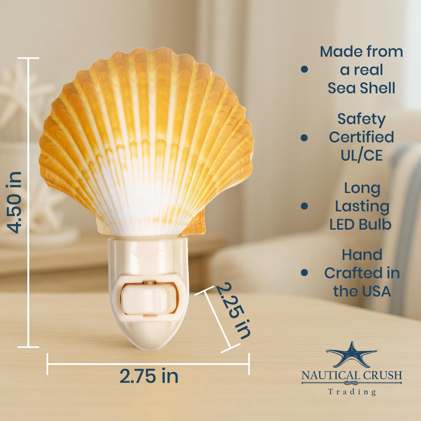 Nautical Crush Trading Seashell Night Light - Beach Night Light with Mexican Cup - Shell Light for Bathroom - Sea Shell Lamp - Seashell Lamp Plug Into