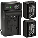 BM Premium 2-Pack of VW-VBT190 Batteries and Battery Charger for HC-V800K, HC-VX1K, HC-WXF1K, HCV520, HC-V550, HCV710, HCV720, HC-V750, HC-V770