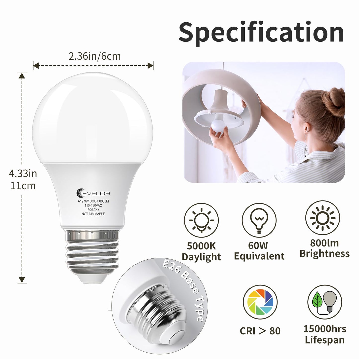evelor 6-Pack A19 LED Light Bulbs,60 Watt Equivalent,Daylight 5000K