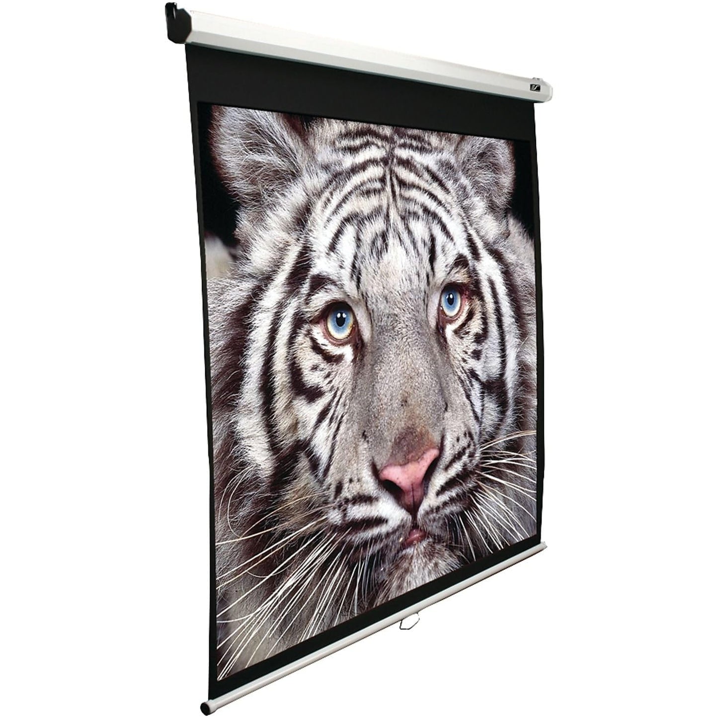 Elite Screens Manual B, 100-INCH Manual Pull Down Projector Screen Diagonal 16:9 Diag 4K 8K 3D Ultra HDR HD Ready Home Theater Movie Office