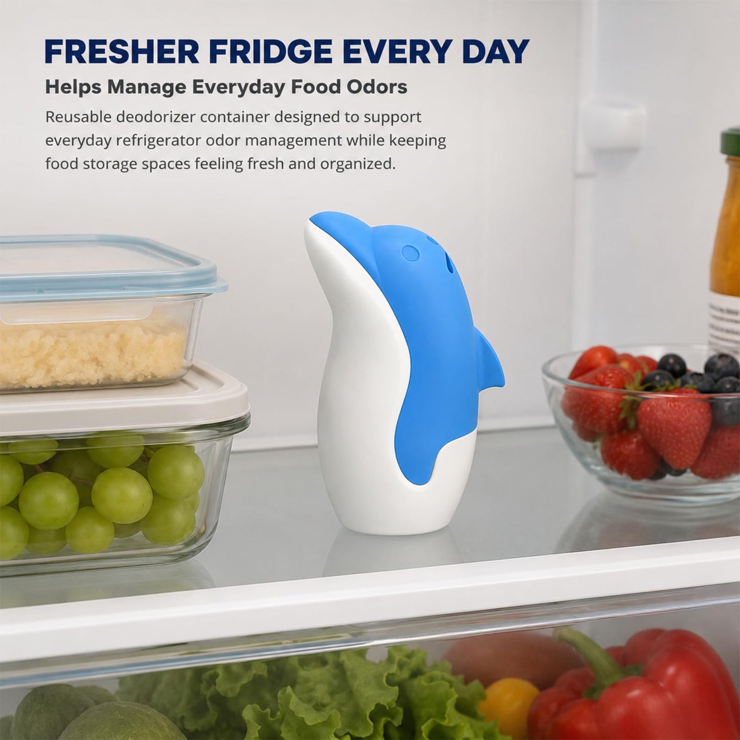 Asltw Refrigerator Deodorizer Box, Dolphin Design Refillable Absorber(Blue)