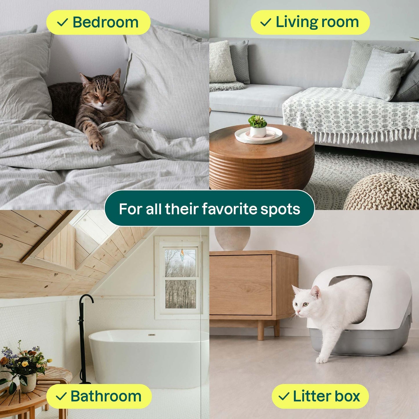 ATTITUDE Air Purifier with Activated Carbon Filter, Plant- and Mineral-Based Ingredients, Traps Pet Odors and Pollutants, Vegan and Cruelty-free