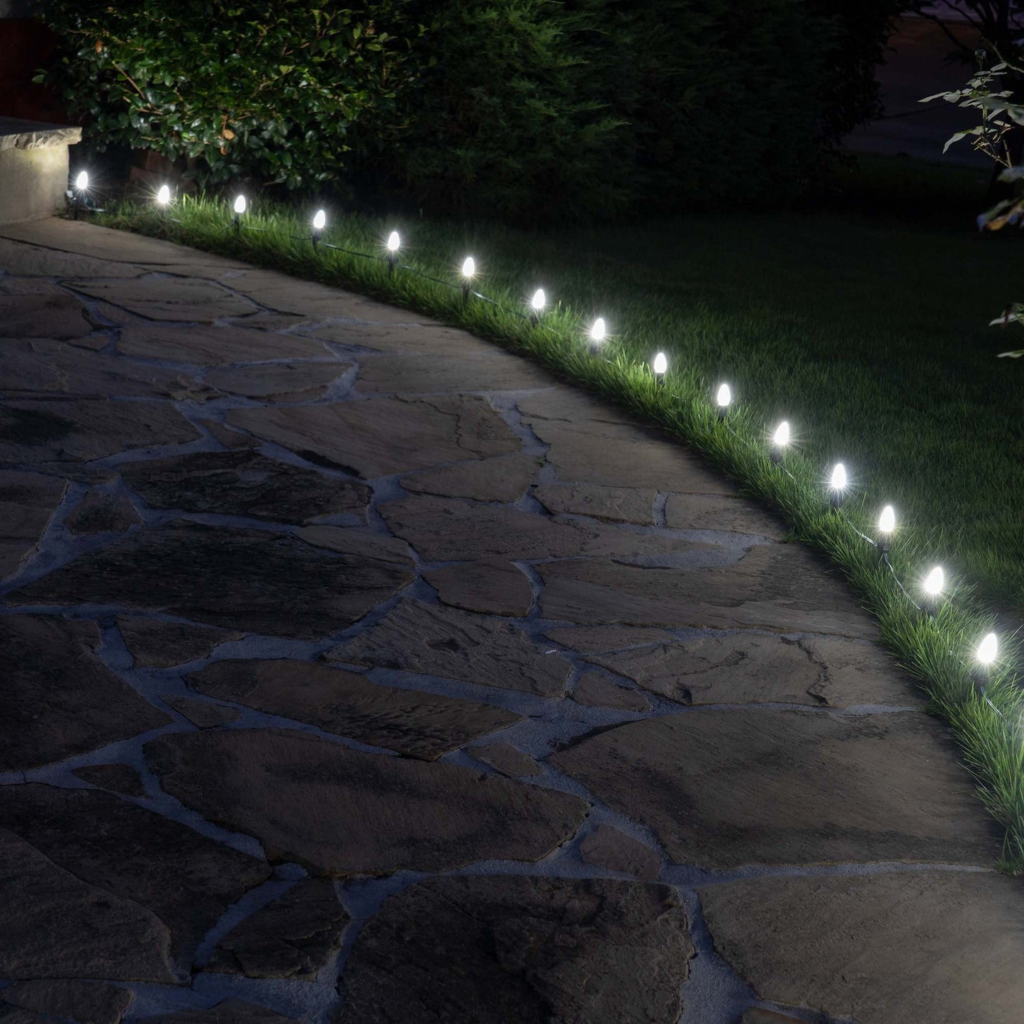 Wintergreen Lighting OptiCore C7 LED Bulbs - 25 Pack Heavy Duty Premium Outdoor Christmas Lights, E12 Base (Cool White Faceted)