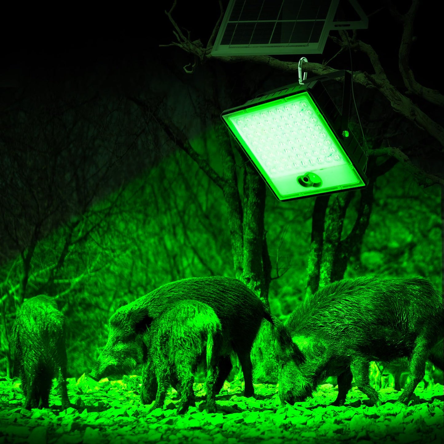 LANGY Hog Lights for Night Hunting, Solar Flood Light 12000LM Green hog Light with Remote, Motion Activated Feeder Lights, Green Solar Lights