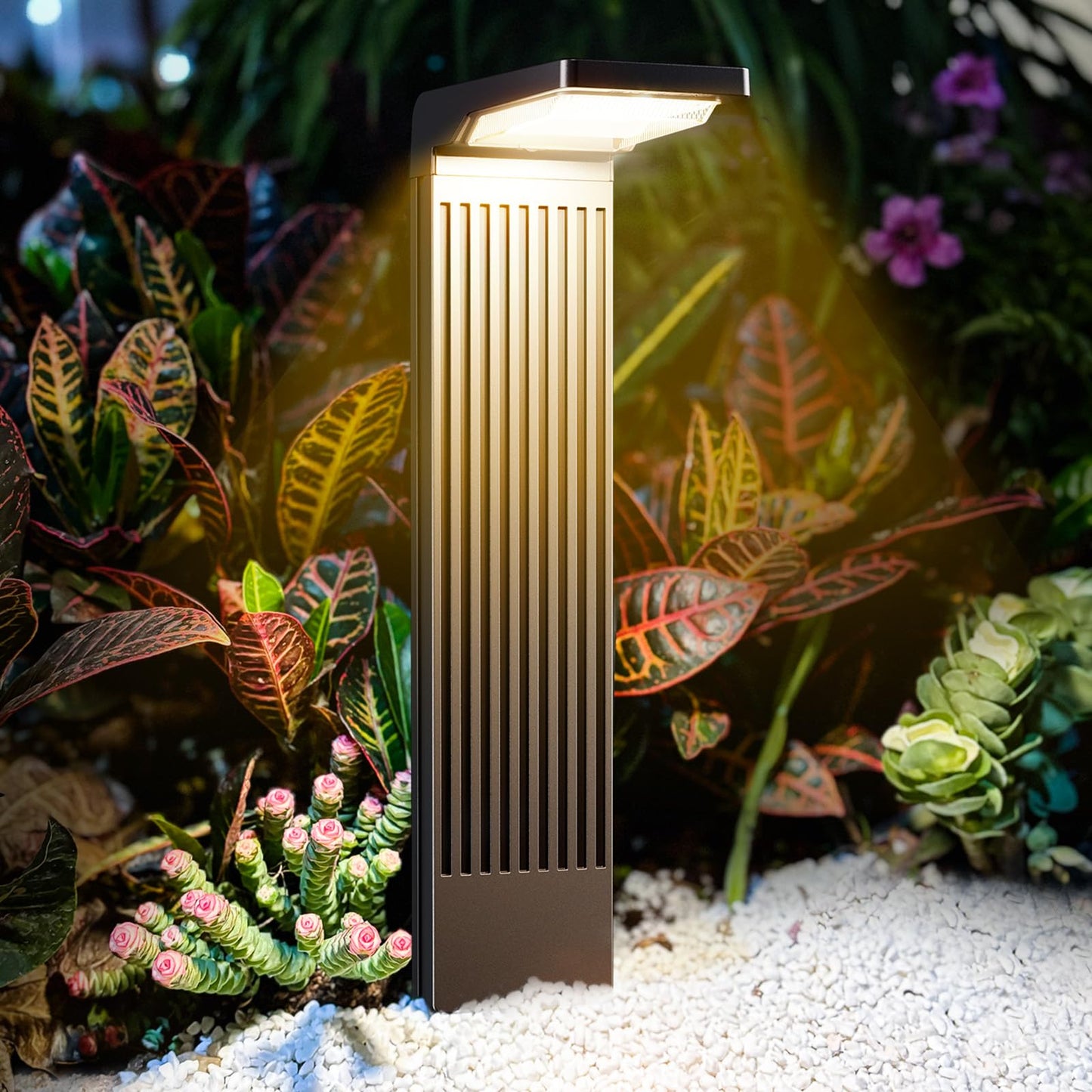 COXSENI Solar Pathway Lights Outdoor 4Pack, Bright 60LED Solar Path Lights Outside Waterproof, Warm & Cool Walkway Lights Solar Powered, Landscape