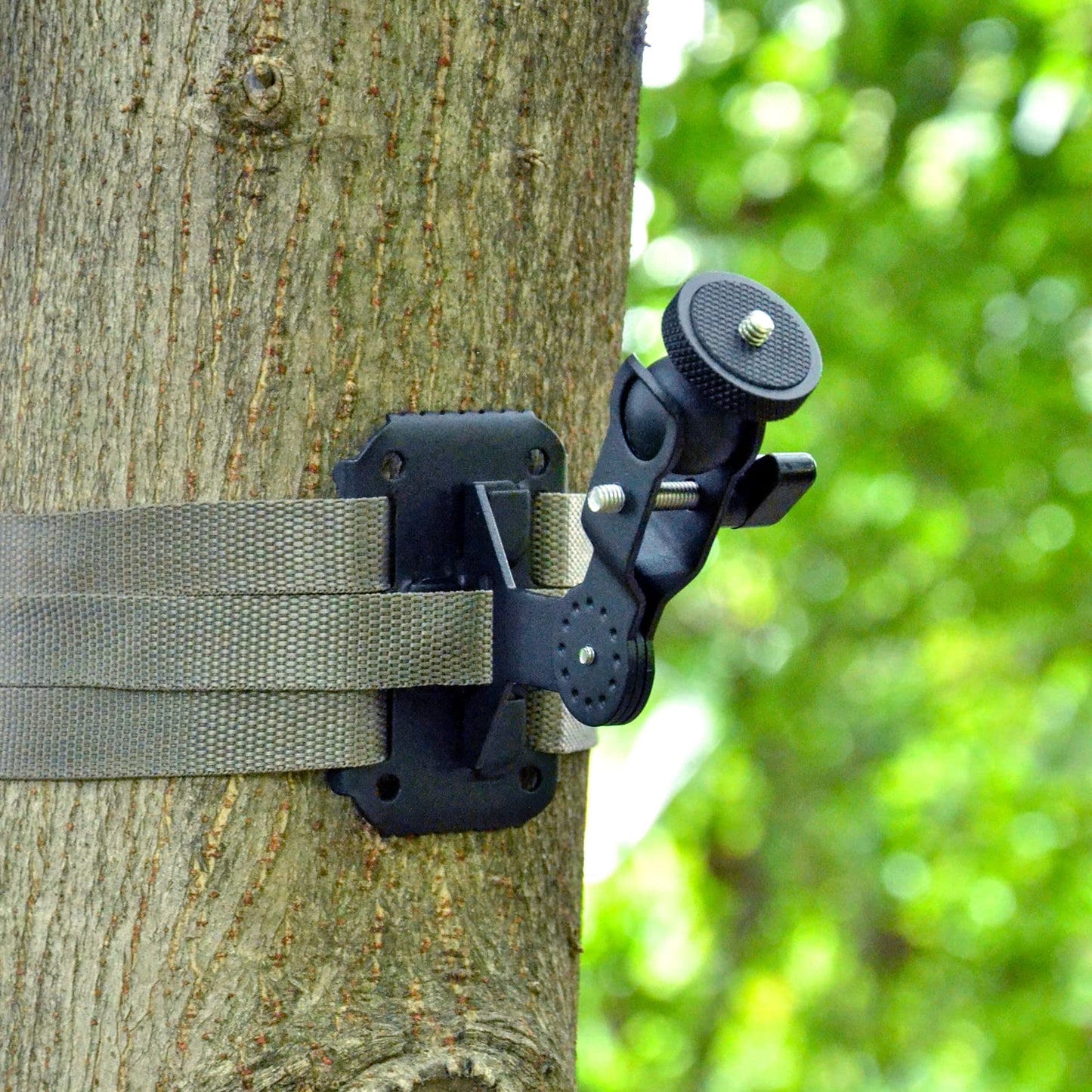 WingHome Trail Cameras Holder, Tree Camera Mount Game Tree Cam Bracket