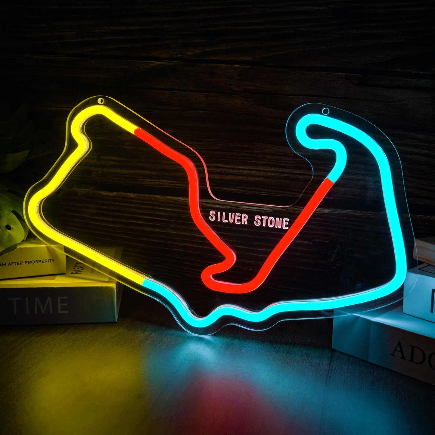 Silver Stone Neon Sign for Wall Decor USB Powered Wall Art Racing Track Neon Light Dimmable Led Sign for Man Cave Garage Game Room Gift for Formula 1