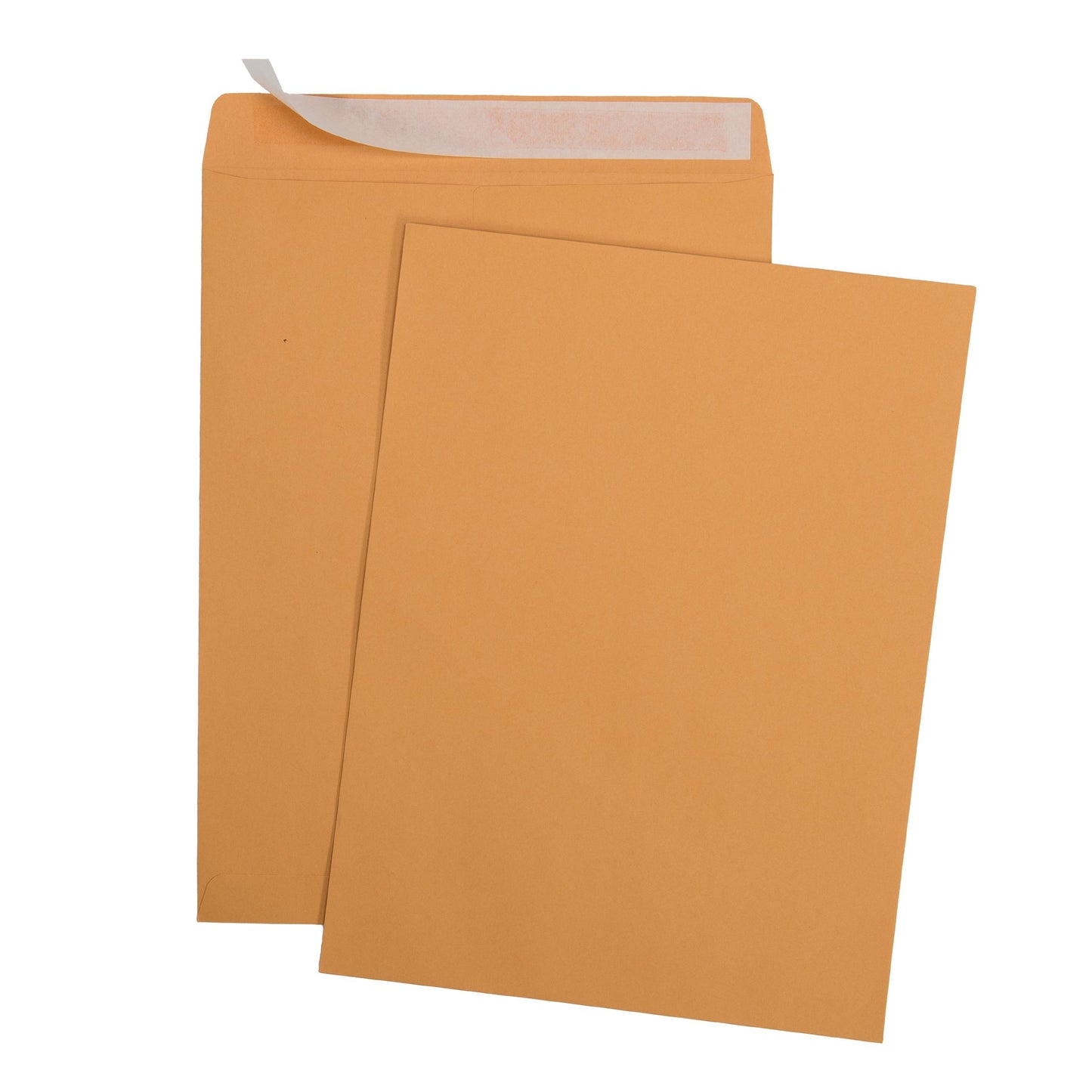 Aimoh 9 X 12 Self-Seal Brown Kraft Catalog Envelopes - 28lb - 9x12 inch (38315)(15 Count)