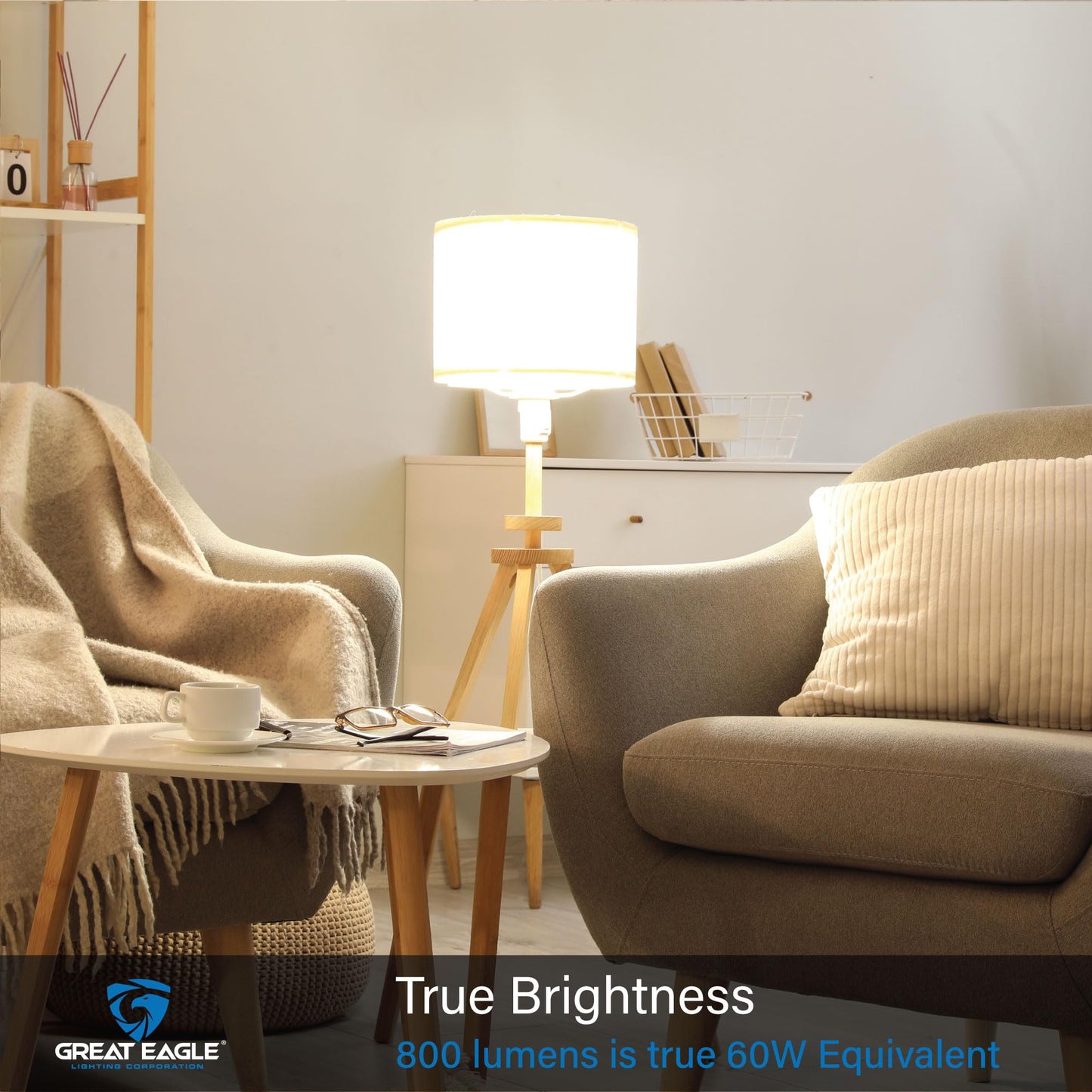 Great Eagle Lighting LED Light Bulbs 60 Watt Equivalent, Cool White 4000K, E26 A19 Light Bulb, 800 Lumens, Non-Dimmable, 120V Energy Saving Bulbs