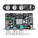 ZK-1001U 100W Mono Amplifier Board with TWS & Bluetooth 5.3, High Power Audio Amp Module for DIY Desktop Speakers & Vehicle, Supports USB/AUX Input