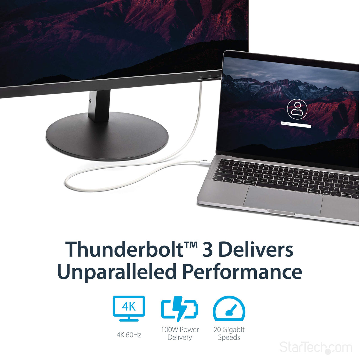 StarTech 6.6ft/2m Passive Thunderbolt 3 Cable 20Gbps, 4K60, 100W, Certified