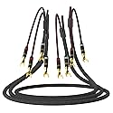 Monosaudio 12 Gauge Speaker Cable Pair Speaker Wire with Banana Plugs/Y Spade Connectors Convertible Gold Plated OFC Copper for Amplifier/Speakers/AV