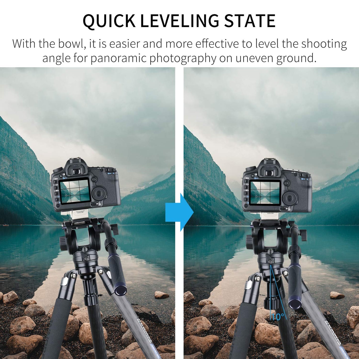 INNOREL ST324CT/ST324CF Carbon Fiber Tripod Max Height 160cm Max Load 30kg Max Tube Dia 32mm Professional Birdwatching Heavy Duty Camera Stand (Rotate