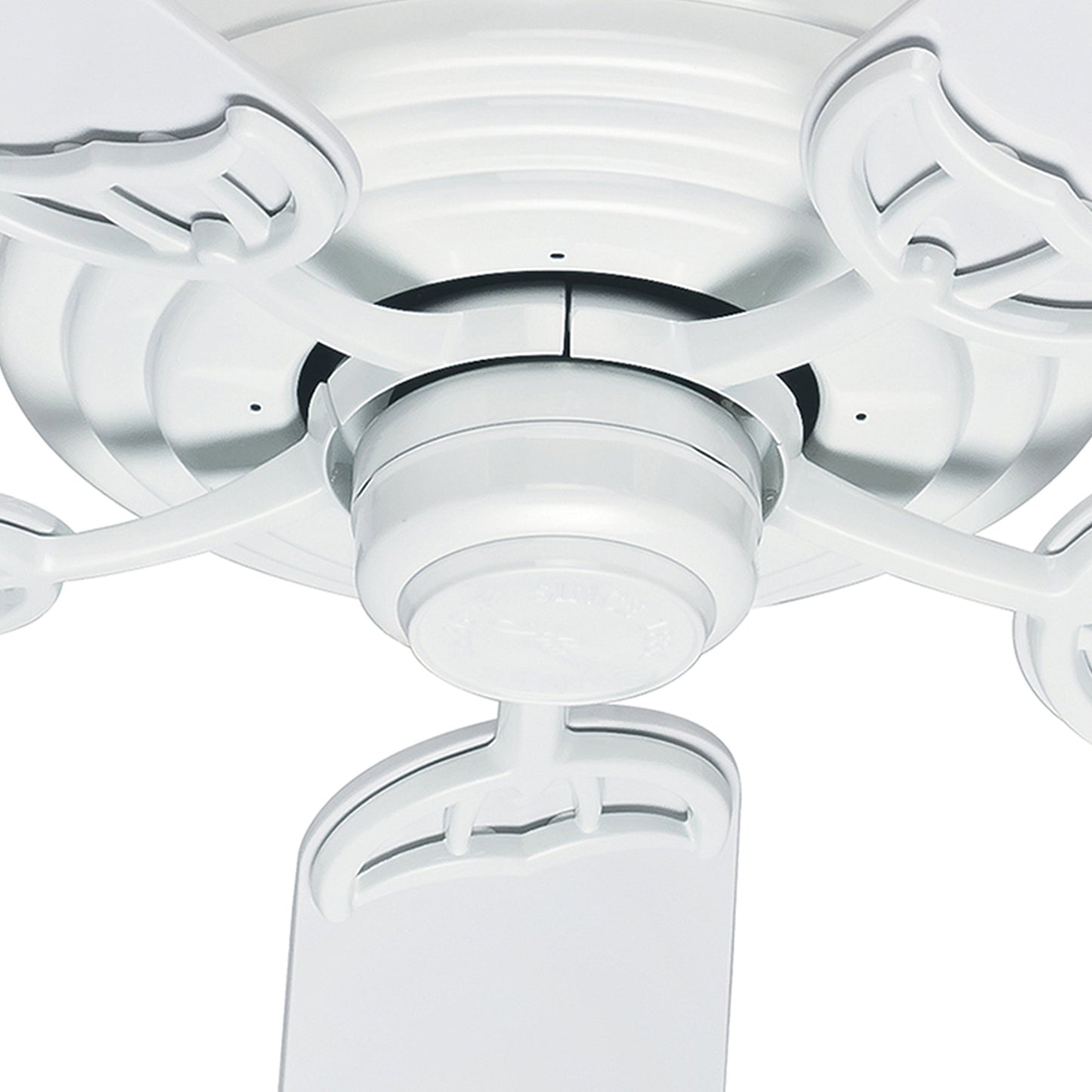 Hunter Fan 52 inch Outdoor Ceiling Fan in White with Stainless Steel Hardware to Resist Rust, 5 Blade (Renewed)