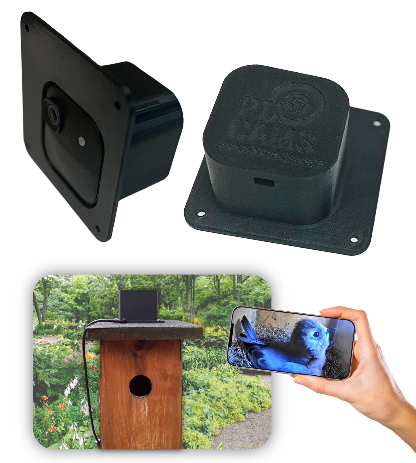 NestView™ Blink Camera Enclosure: Attach a Blink Camera on Birdhouse, Squirrel House, Owl, Nest, or Roost Box for Smart Wildlife Viewing (Flat Mount)