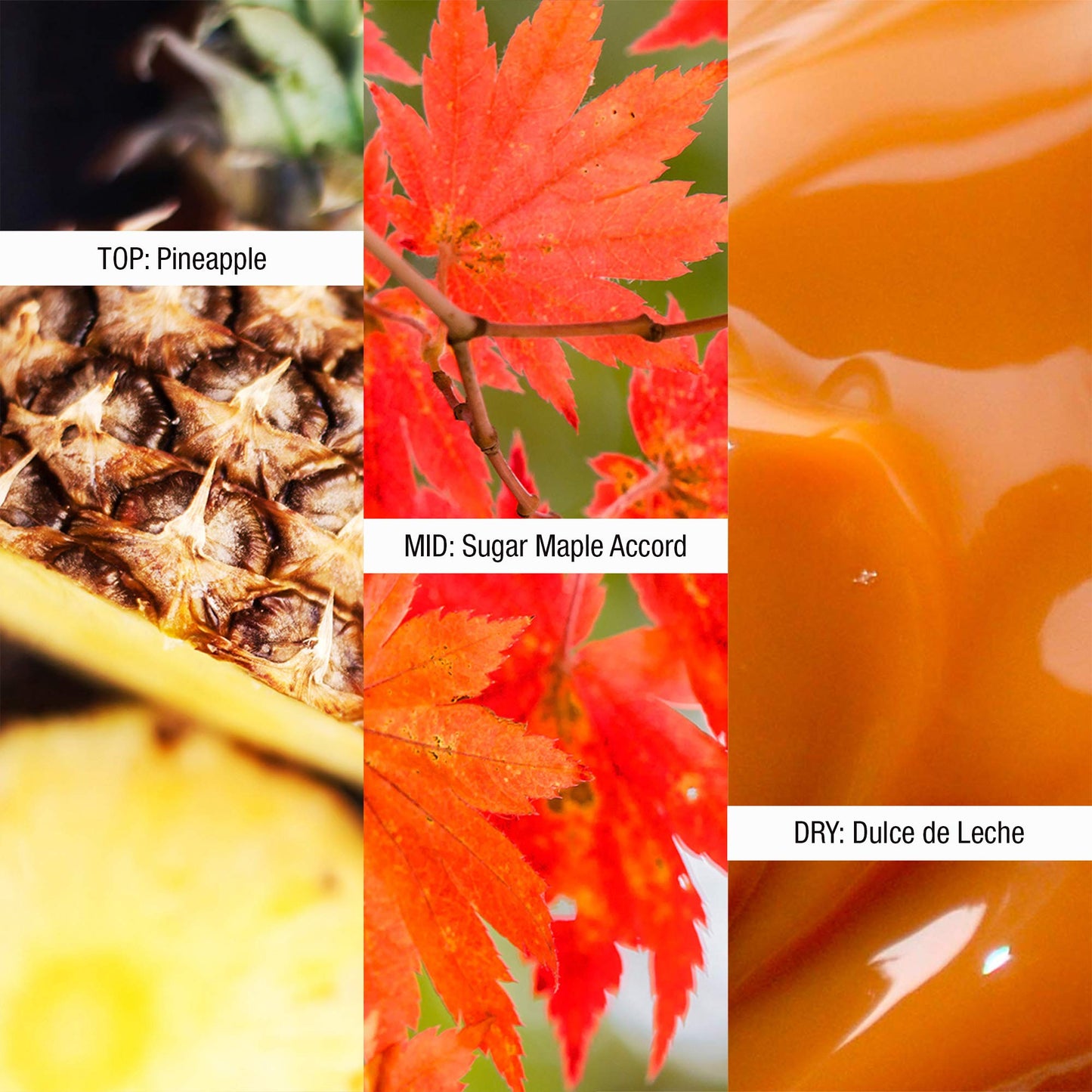 Shawn Mendes Signature Perfume for Women EDP Spray 1.7 Ounce