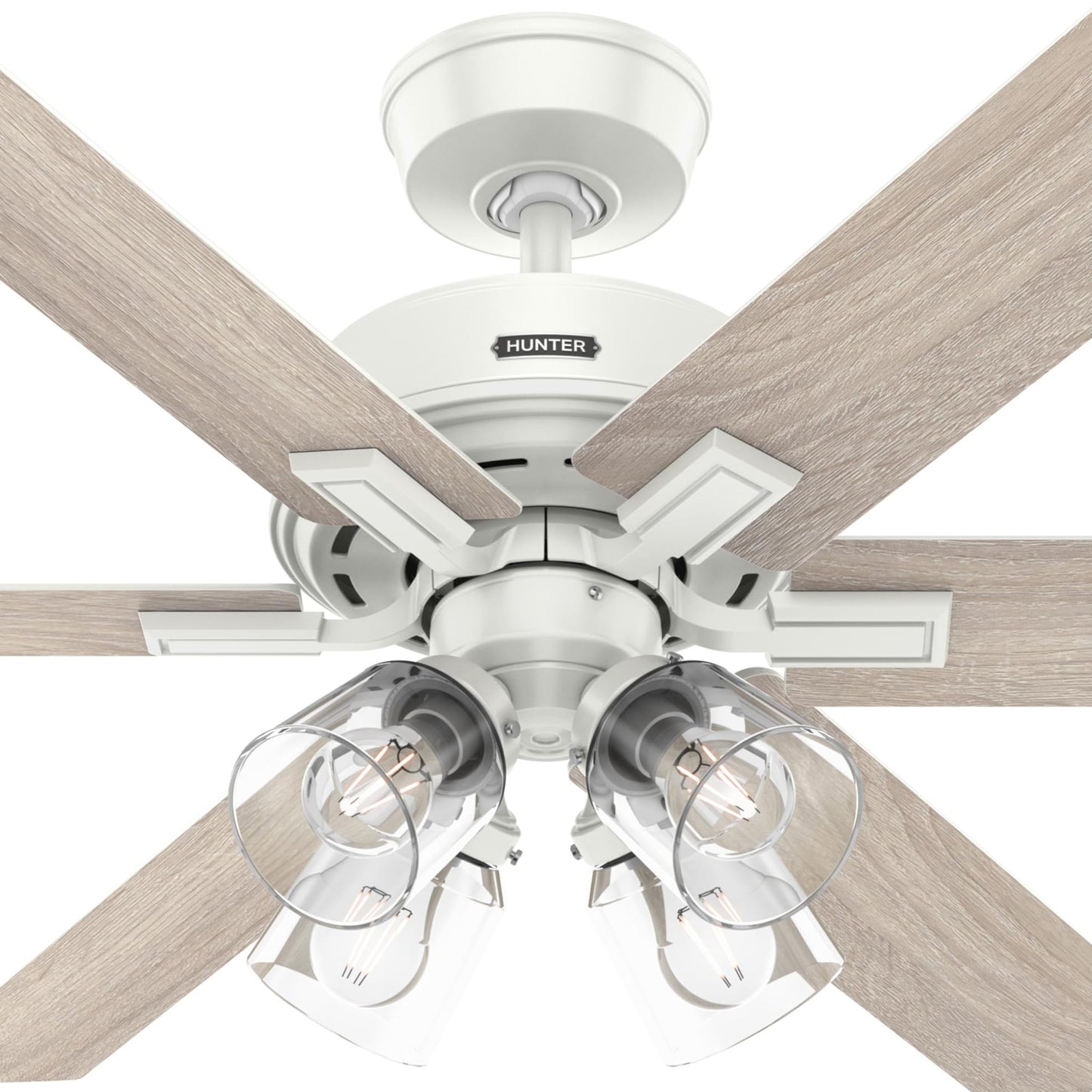 Hunter Fan 52 Inch Fresh White Indoor Ceiling fan with Light and Remote for Bedroom, Living Room, Office, Kitchen (Renewed)