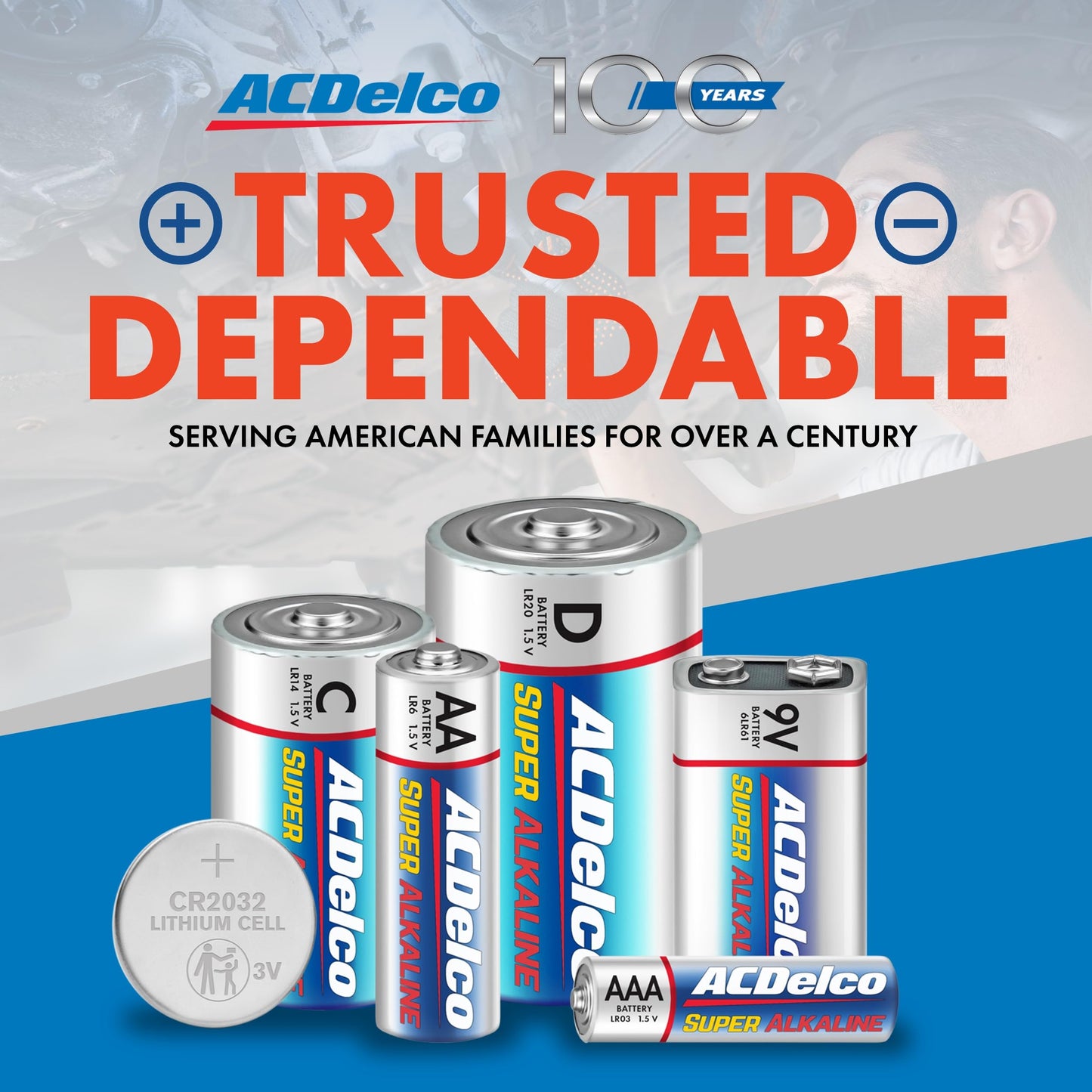 Powermax ACDelco Double AA and Triple AAA Batteries, 40-Count Battery Combo Pack for Home and Office, 20-Count Each, 10-Year Shelf Life