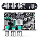 ZK-10001UM Bluetooth 5.3 Amplifier Board, 100W Mono Class D Power Amp with TWS Pairing, USB/AUX Input, Mic/Music Vol, Microphone Reverb Support EQ