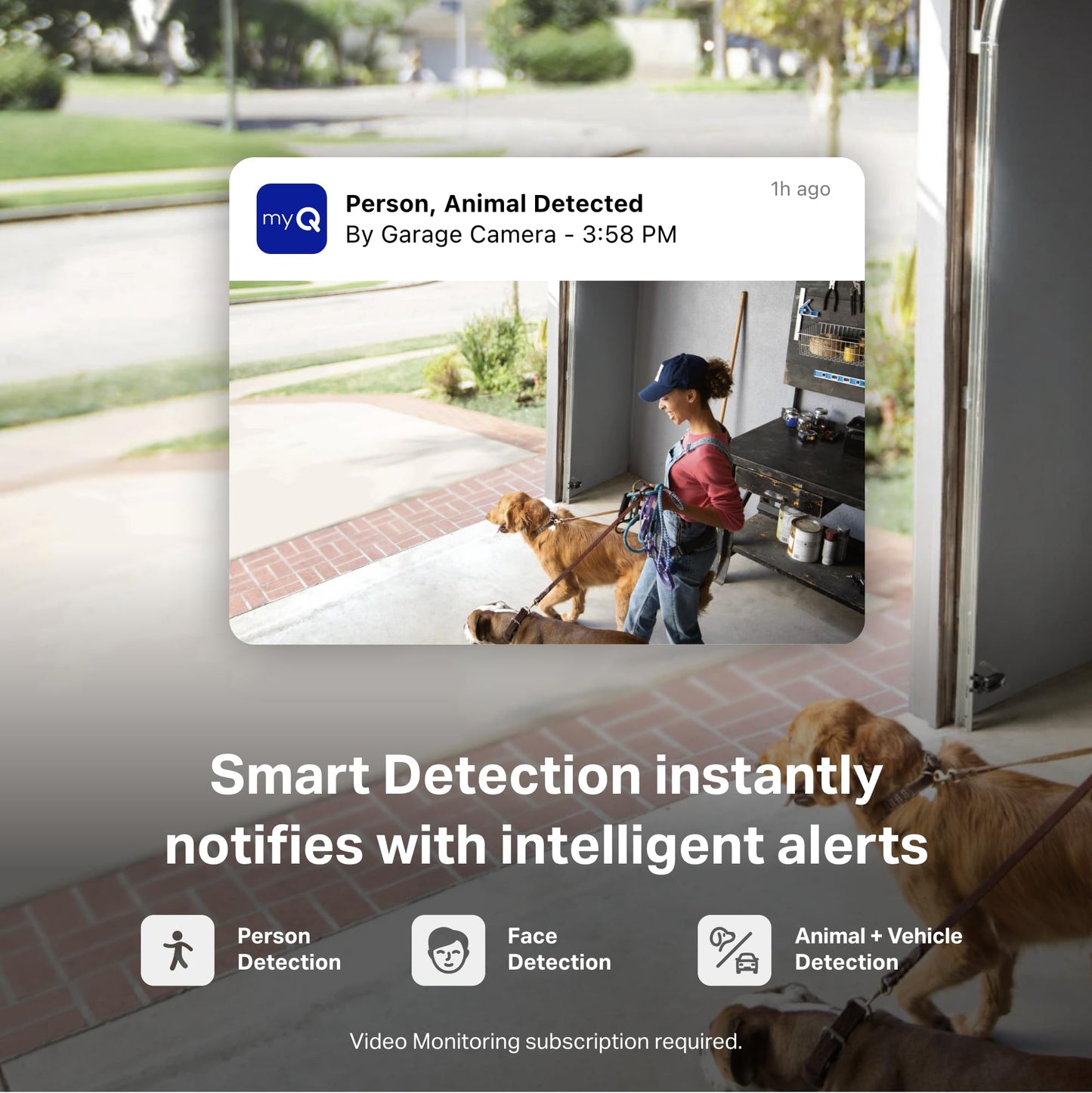 myQ Smart Garage Security Camera - 1080p HD Video, Night Vision, Motion Detection, Magnetic, Wi-Fi, Two-Way Audio, Smartphone Control