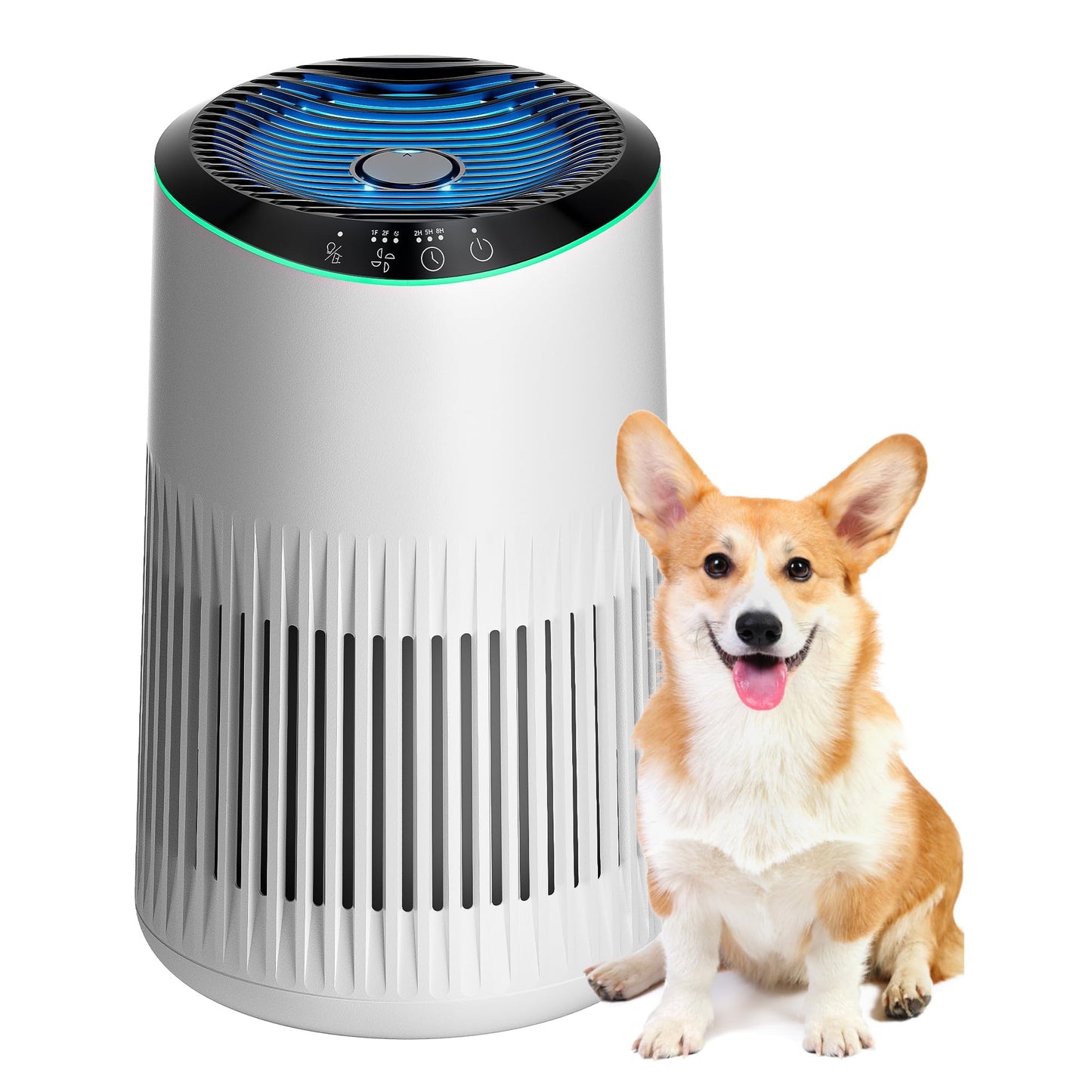 Air Purifiers for Bedroom Home for Smoke Pet Dander Odors, Air Purifier with Sleep Mode Small Air Purifier with Fragrance Sponge for Bedroom Office