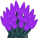 Novelty Lights 24FT 70 LED C6 Christmas String Lights, Outdoor Tree Commercial Grade Permanent Decorations (Purple)