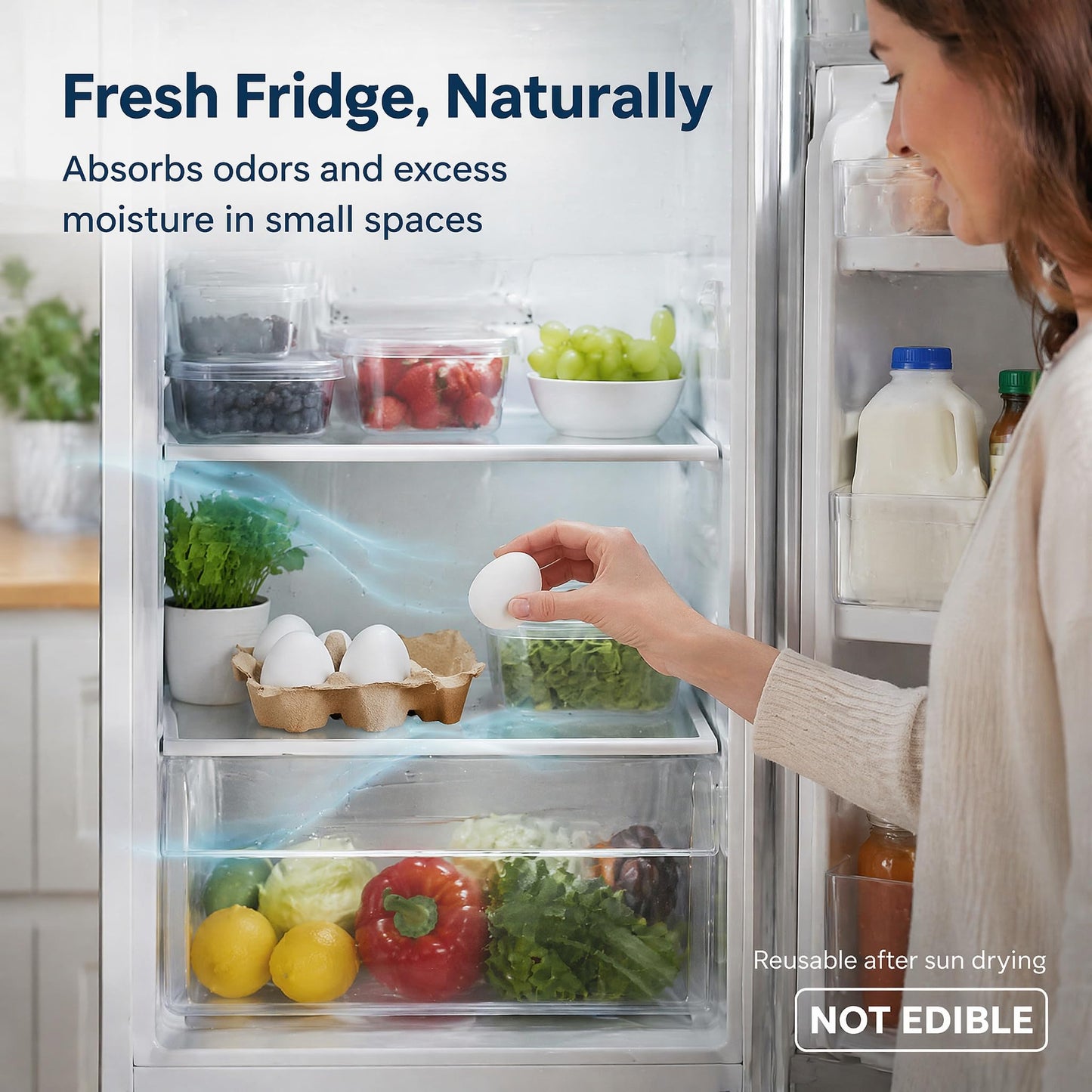 4 Pcs Egg-Shaped Diatomaceous Earth Fridge Odor Remover, Reusable Diatomite Fridge Deodorizer for Food Storage, Safe Refrigerator Odor Absorber