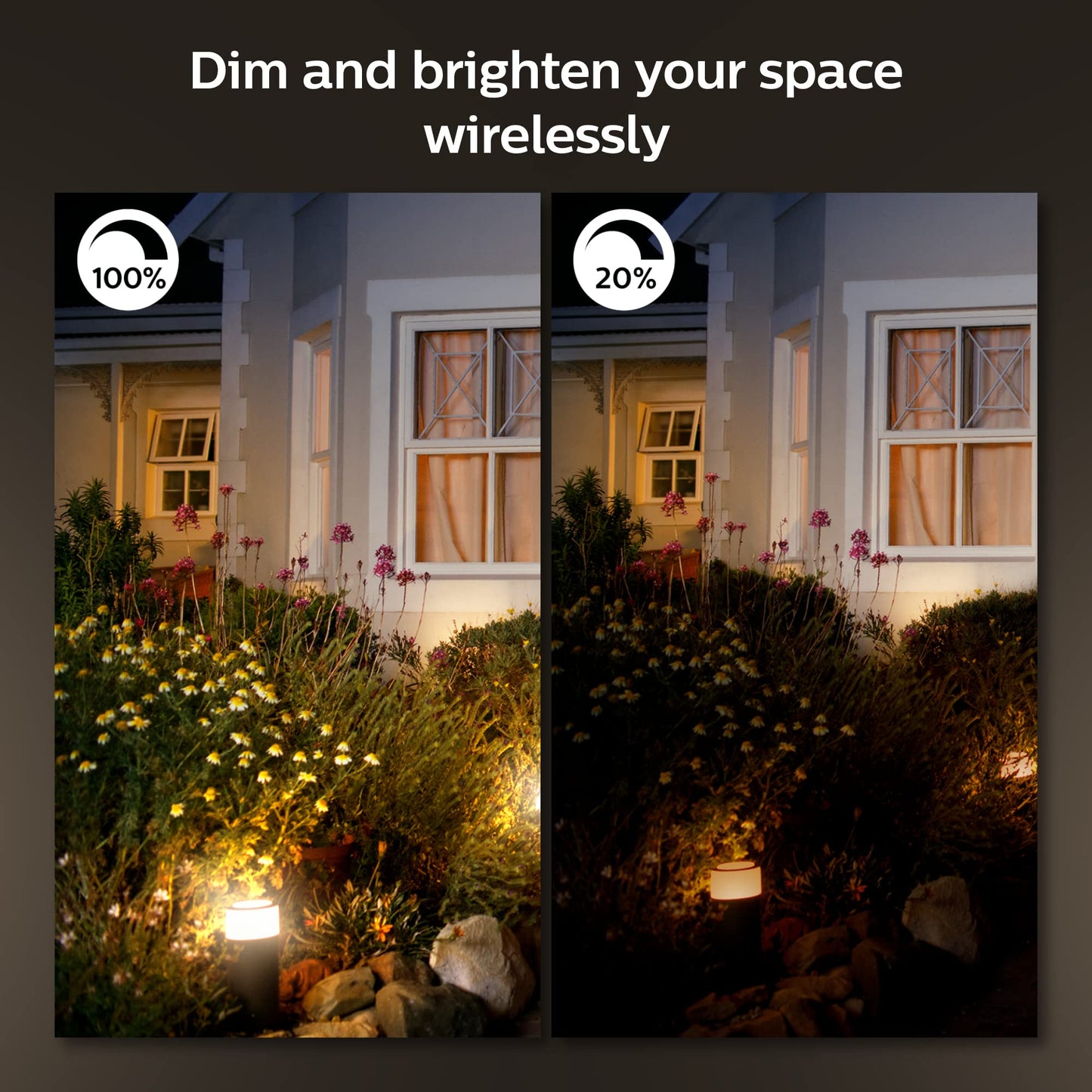 Philips Hue Lucca Outdoor Smart Wall Light, Black - E26 White and Color Ambiance LED Color-Changing Bulb - 1 Pack - Requires Hue Bridge - Control