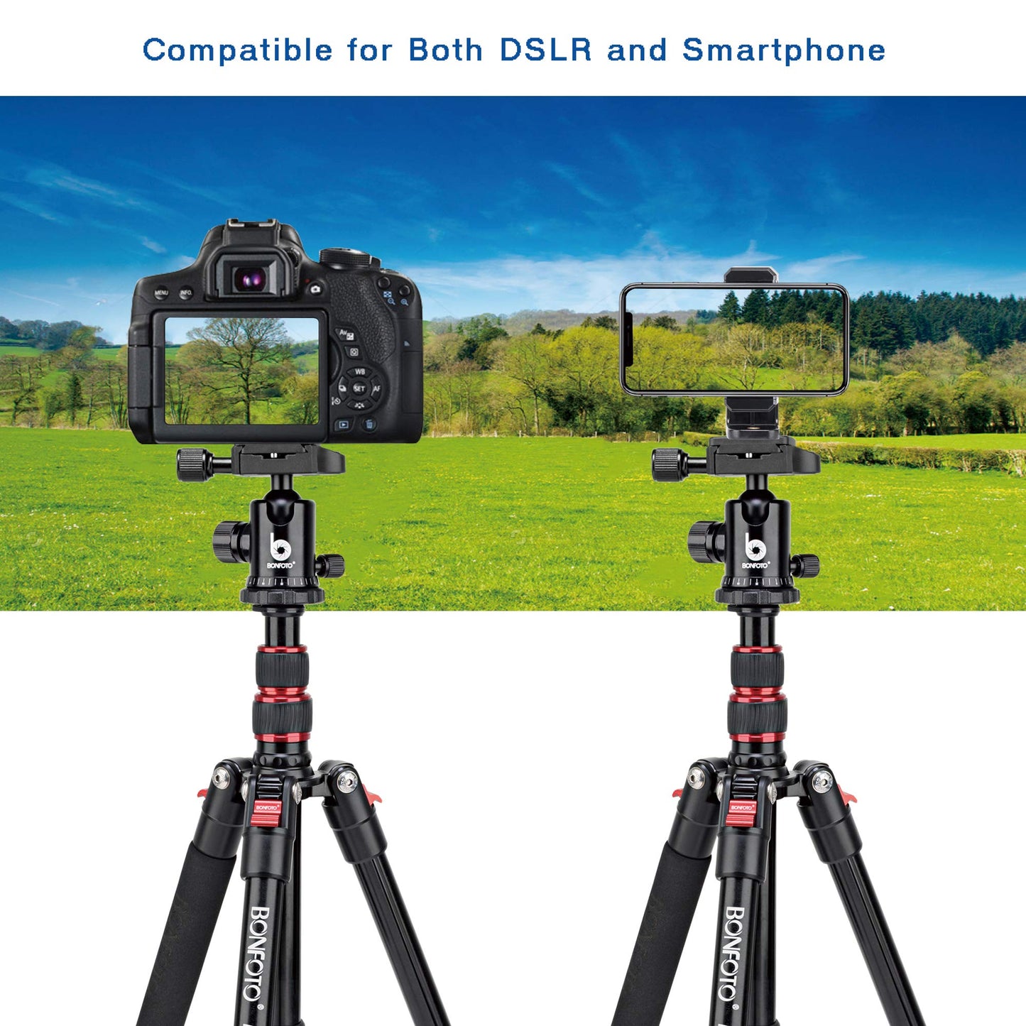 BONFOTO B690A Camera Tripod for Travel,Lightweight Aluminum Portable DSLR Tripod with 360 Degree Ball Head and Carry Bag, Camera Stand for Ring Light