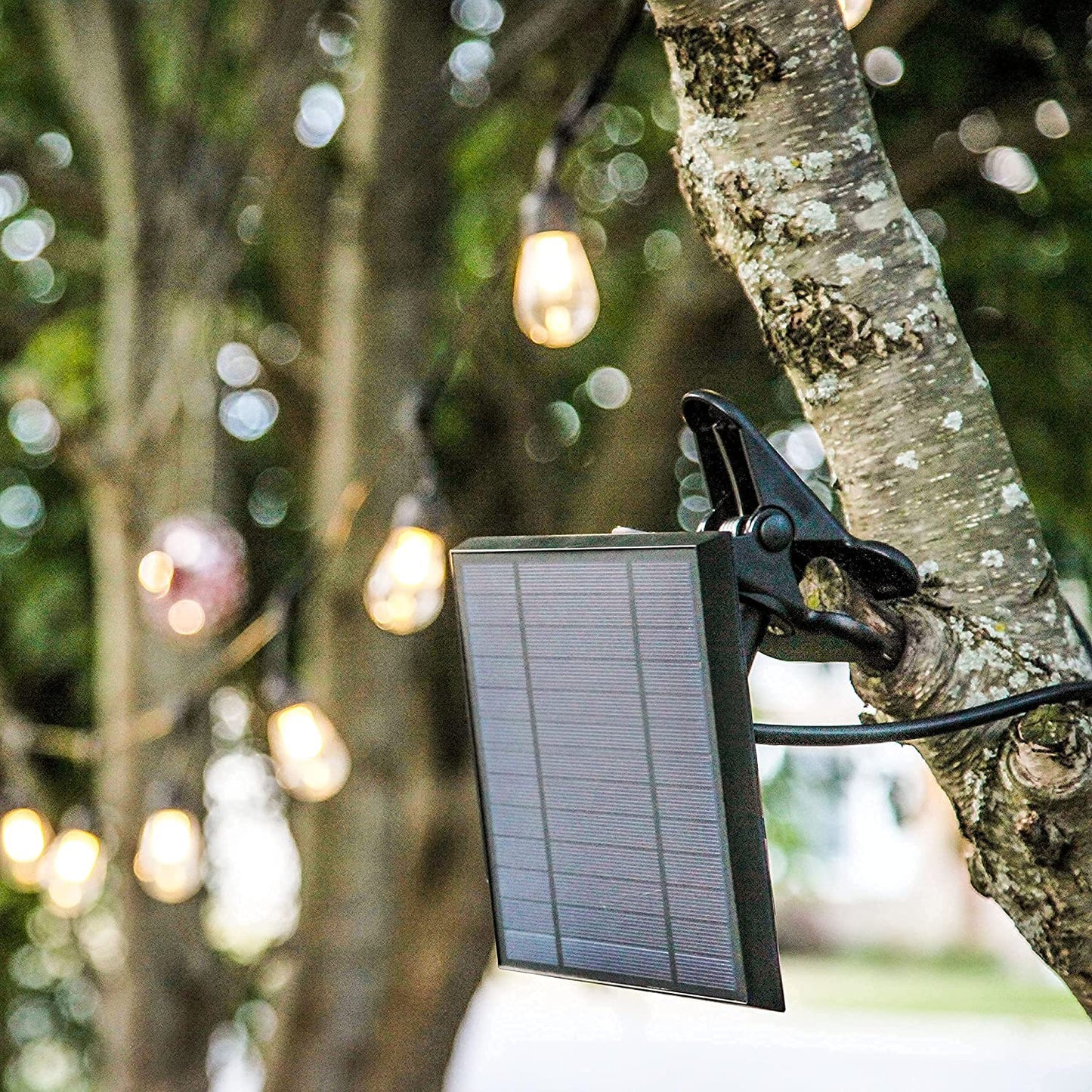 Brightech Ambience Pro Replacement Solar Panel - Compatible ONLY with with Brightech 1W Remote Controlled LED String Lights - Commercial Grade