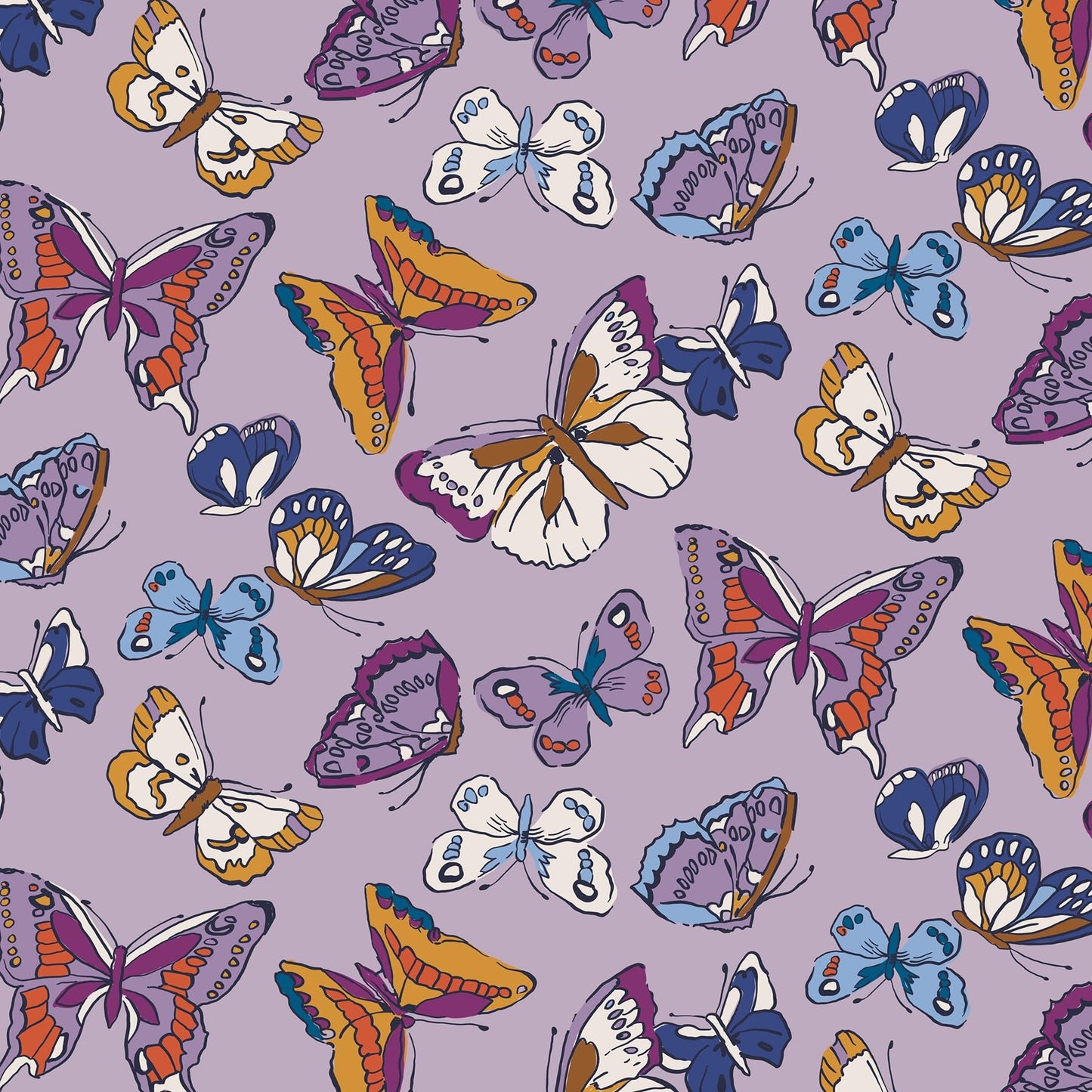 Vera Bradley Women's Premium Cotton Zip Card Pouch, Wing in Flight, One Size