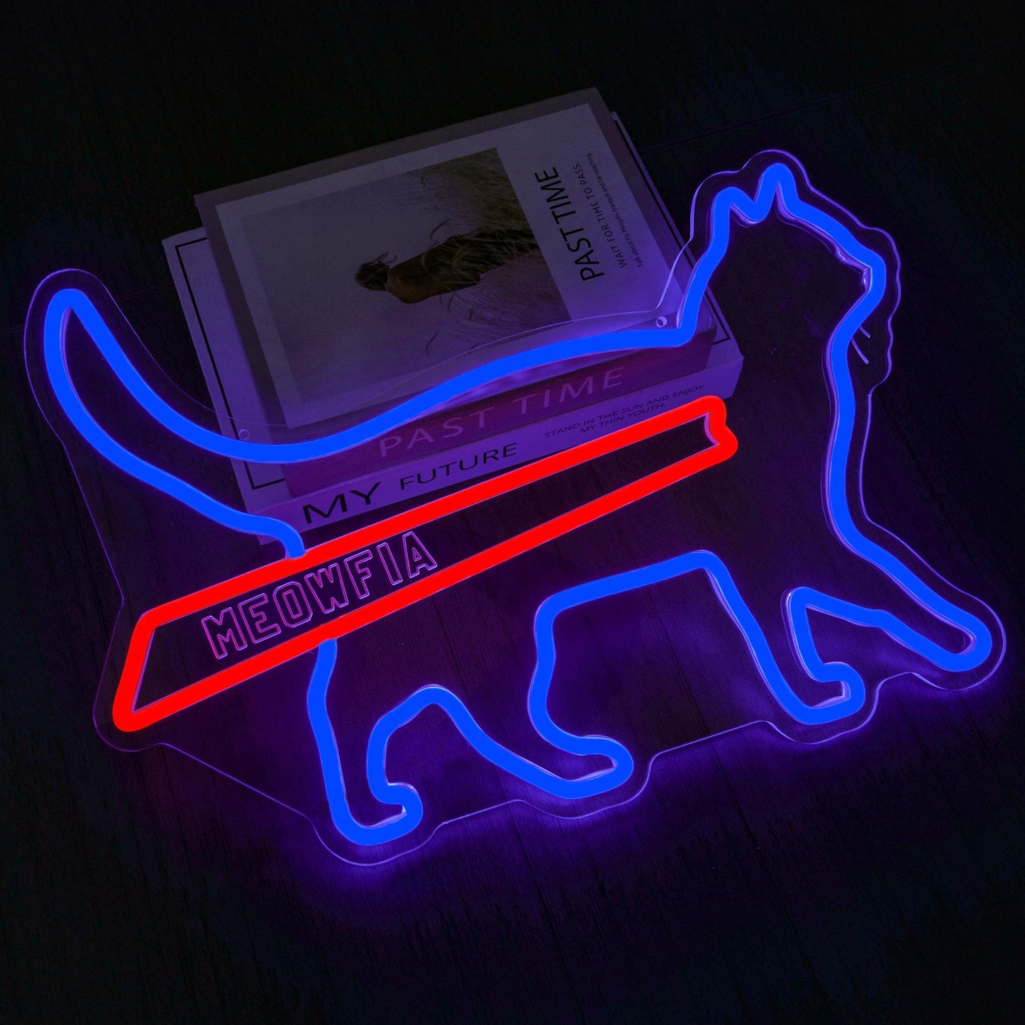 MEOWFIA Neon Sign for Wall Décor USB Powered Funny Cat Led Sign Dimmable Football Neon Light for Sport Bar Bedroom Game Room Gift for Sport Fans (16.7