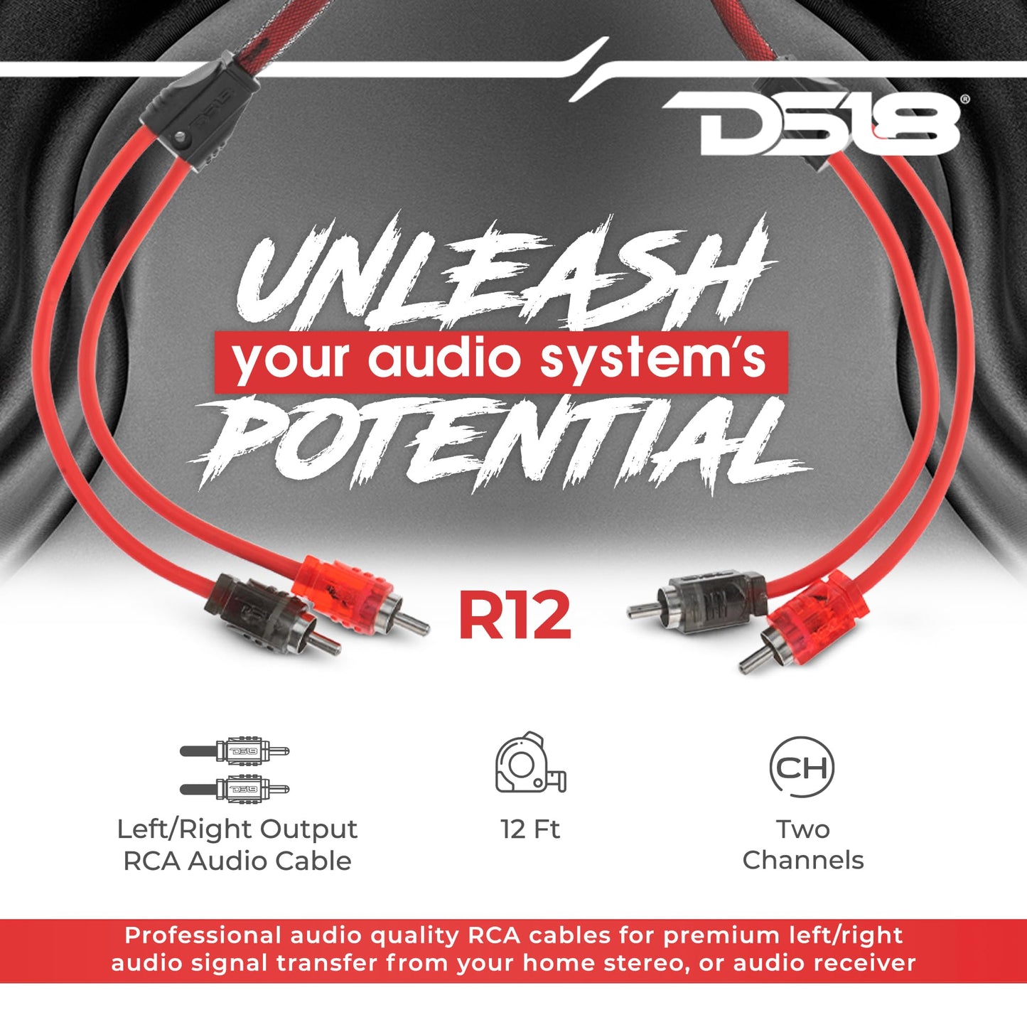 DS18 R12 Ultra Flex RCA, Male to 2-Male RCA Cable, Y Splitter Design,(12 Feet)