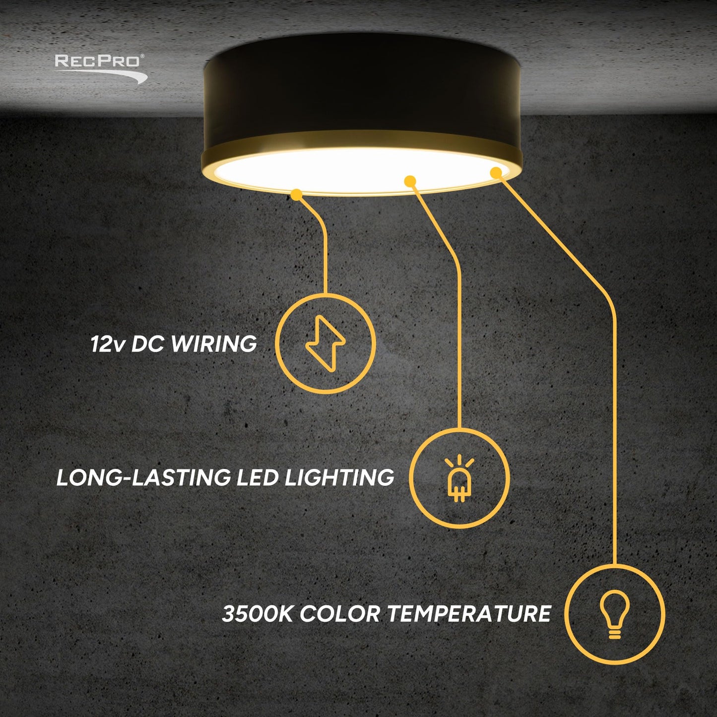 RecPro RV Wall Sconce Light | 12V LED Interior Light Fixture | Satin Black & Gold | Modern Round Globe Design | 3500K Neutral White | Non-Dimmable