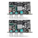 Wuzhi Audio 2PCS ZK-1001U Mono Amplifier Board with TWS, 100W Power Output, Vehicle Amplifier Wide Voltage Input 9-24V, Supports USB/AUX/Bluetooth