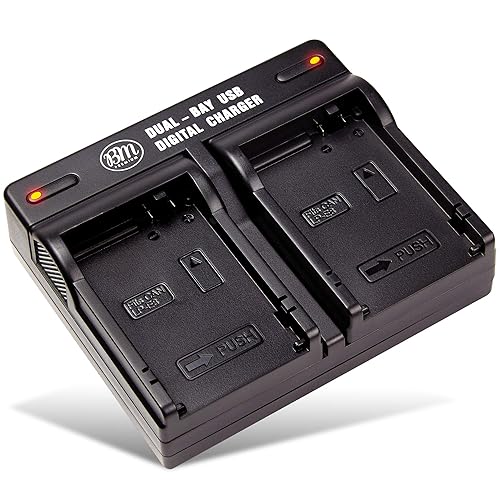 BM Premium LP-E8 Dual Bay Rapid Battery Charger for Canon EOS Rebel T2i, T3i, T4i, T5i, EOS 550D, EOS 600D, EOS 650D, EOS 700D DSLR Digital Cameras
