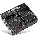 BM Premium LP-E8 Dual Bay Rapid Battery Charger for Canon EOS Rebel T2i, T3i, T4i, T5i, EOS 550D, EOS 600D, EOS 650D, EOS 700D DSLR Digital Cameras