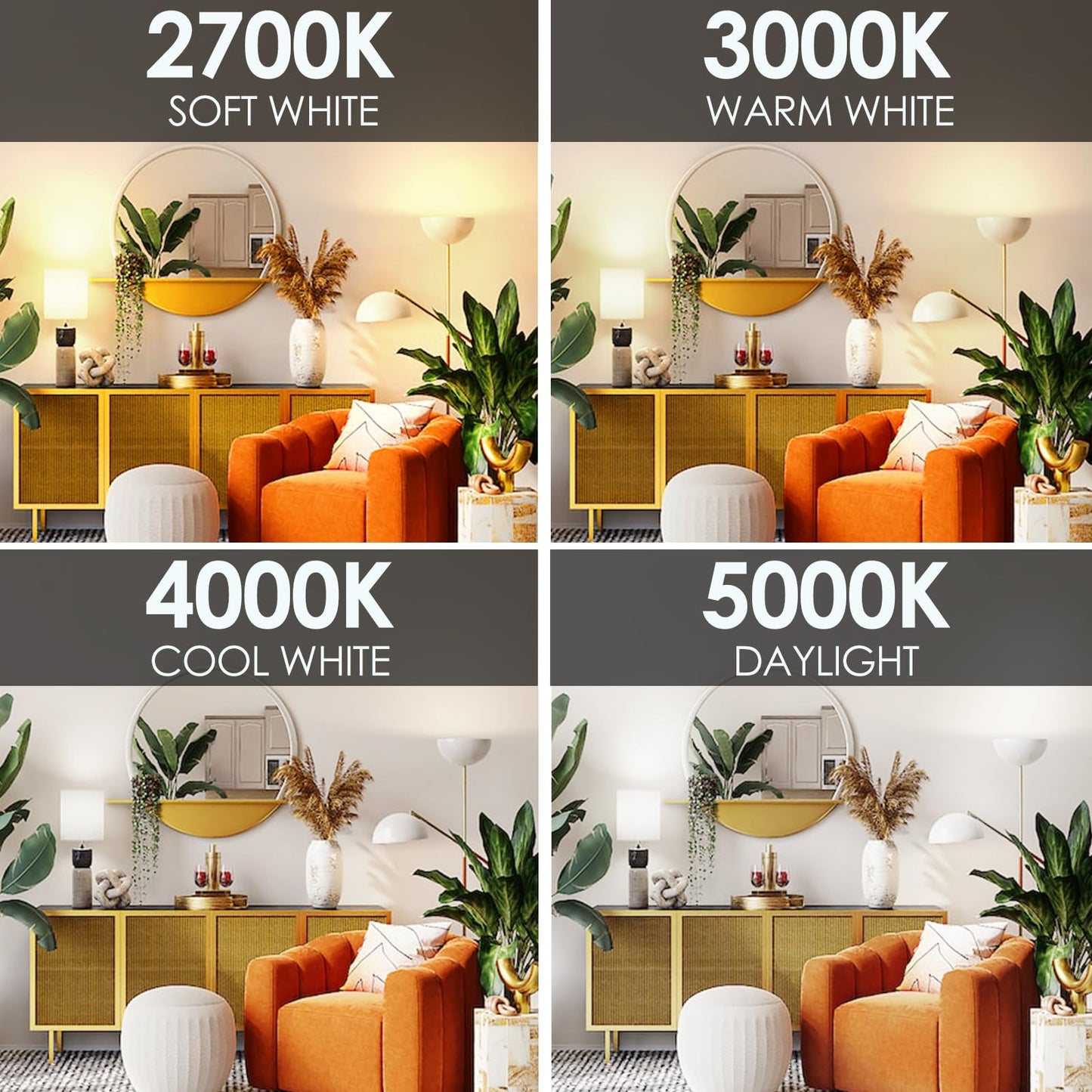 E ENERGETIC LIGHTING Dimmable LED Light Bulbs, 60W Equivalent 5000K Daylight, 8W 800 Lumens, E26 LED Bulb 60 Watt Dimmable, ETL Listed, 12 Packs