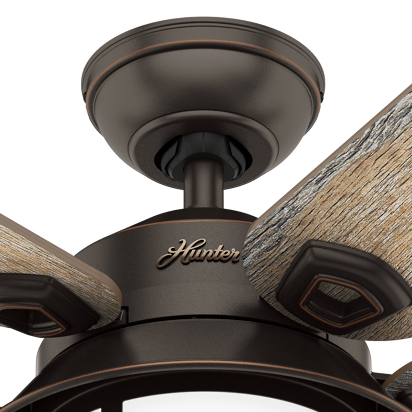 Hunter Fan 54 in. Outdoor Ceiling Fan with Light in Onyx Bengal (Renewed)