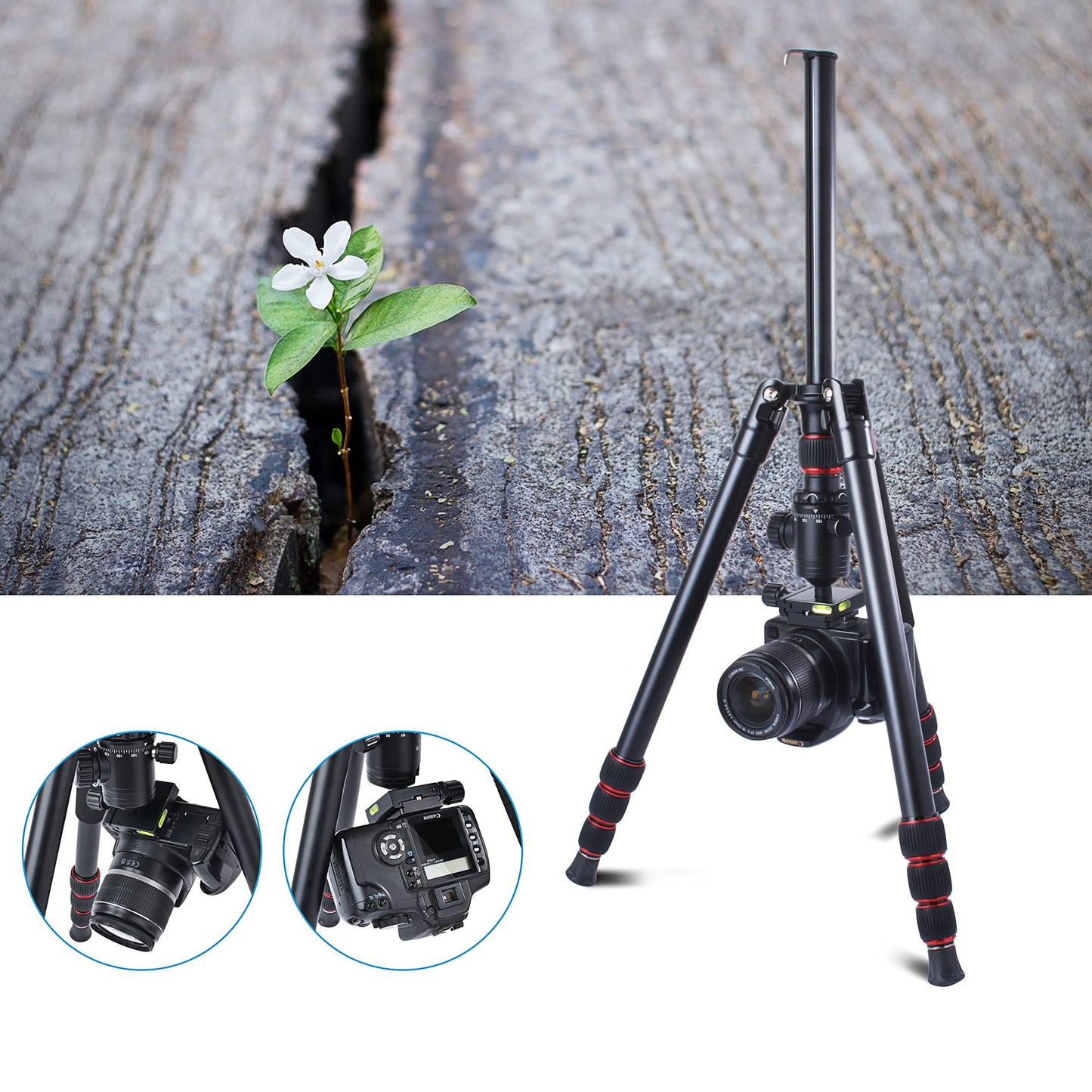 64” Camera Tripod and Monopod Kit with Panoramic Ball Head, Heavy Duty Complete Tripod for Canon, Nikon, Sony...Aluminum Alloy Made, Durable, Stable