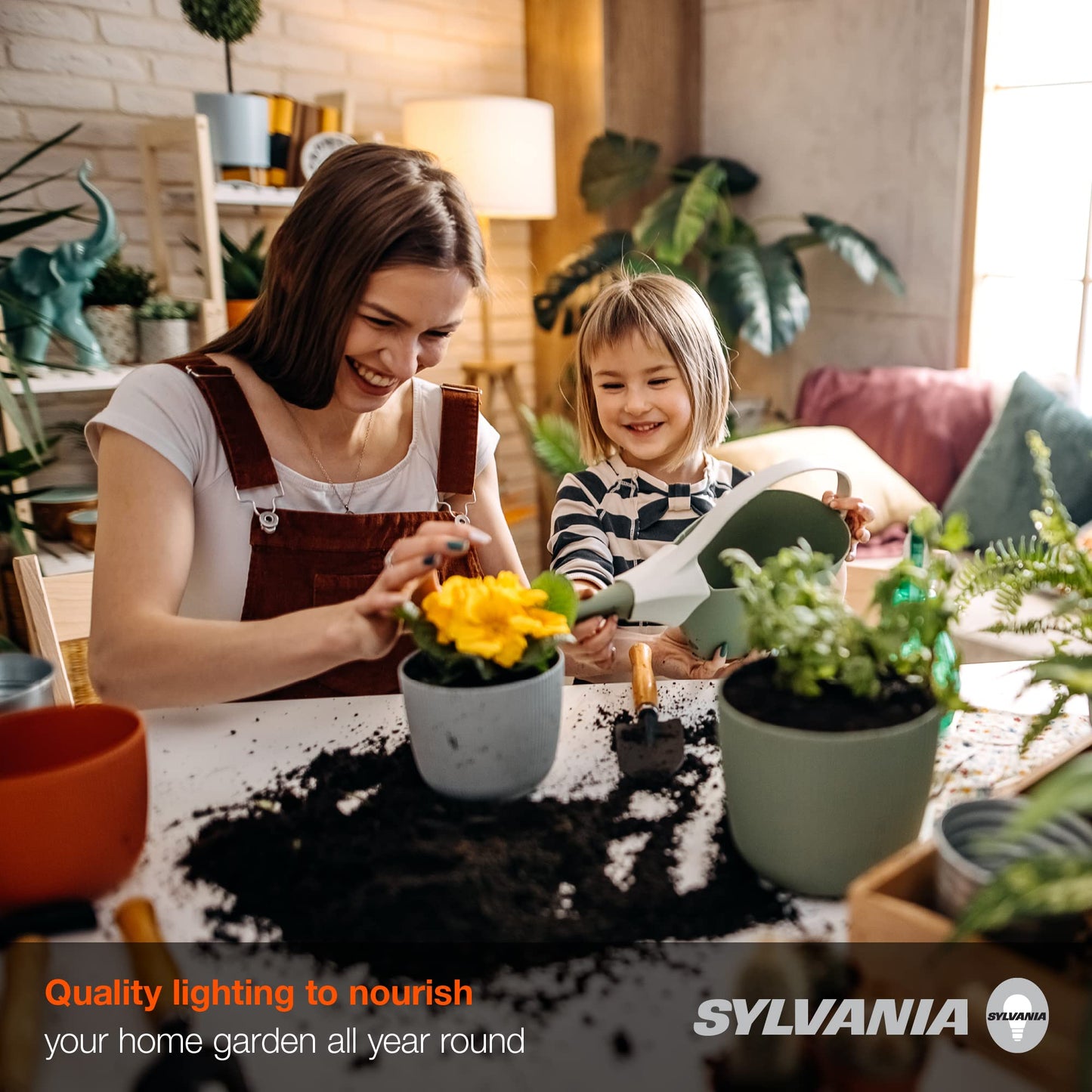 Sylvania Incandescent Spot-Gro 60W Grow Light Bulb, A19, Dimmable, 705 Lumens, Frosted, 2850K, Soft White - 1 Pack (12280)